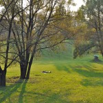 природный заказник Воробьёвы горы