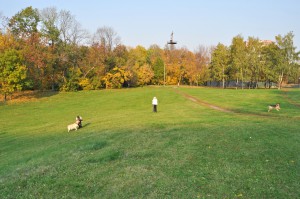 природный заказник Воробьёвы горы