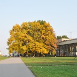 Дворец пионеров (Основное здание) (Московский Городской Дворец Детского Юношеского Творчества)