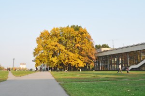 Дворец пионеров (Основное здание) (Московский Городской Дворец Детского Юношеского Творчества)